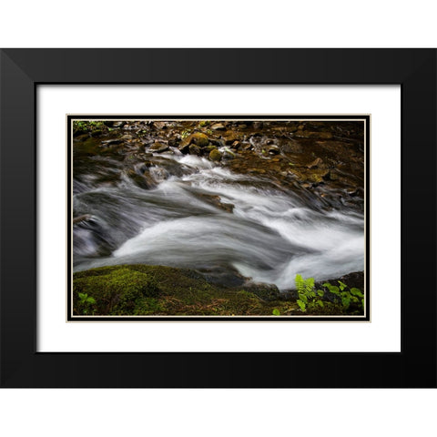 Waterfall 2 Black Modern Wood Framed Art Print with Double Matting by Lee, Rachel