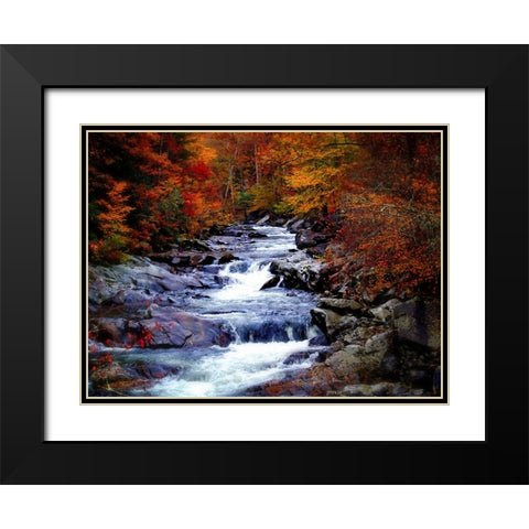 Waterfall 22 Black Modern Wood Framed Art Print with Double Matting by Lee, Rachel