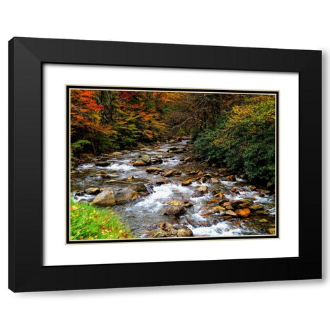 Waterfall 23 Black Modern Wood Framed Art Print with Double Matting by Lee, Rachel