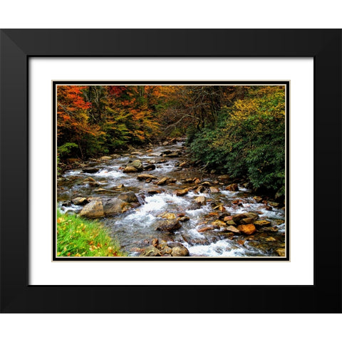 Waterfall 23 Black Modern Wood Framed Art Print with Double Matting by Lee, Rachel