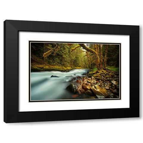 Waterfall 24 Black Modern Wood Framed Art Print with Double Matting by Lee, Rachel