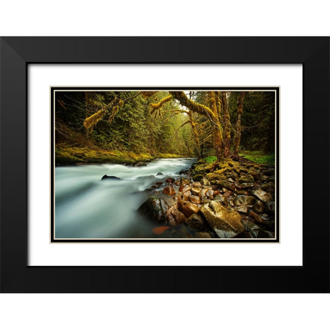 Waterfall 24 Black Modern Wood Framed Art Print with Double Matting by Lee, Rachel