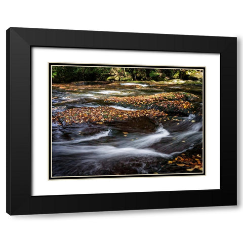 Waterfall 25 Black Modern Wood Framed Art Print with Double Matting by Lee, Rachel