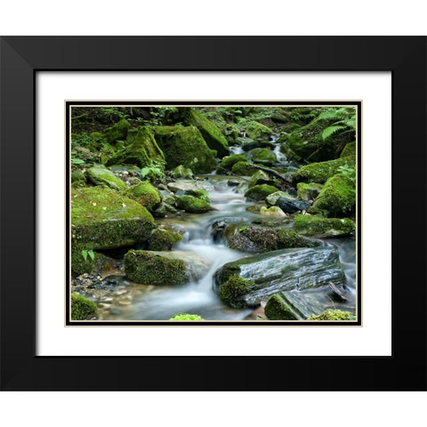 Waterfall 26 Black Modern Wood Framed Art Print with Double Matting by Lee, Rachel