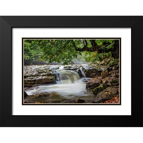 Waterfall 30 Black Modern Wood Framed Art Print with Double Matting by Lee, Rachel