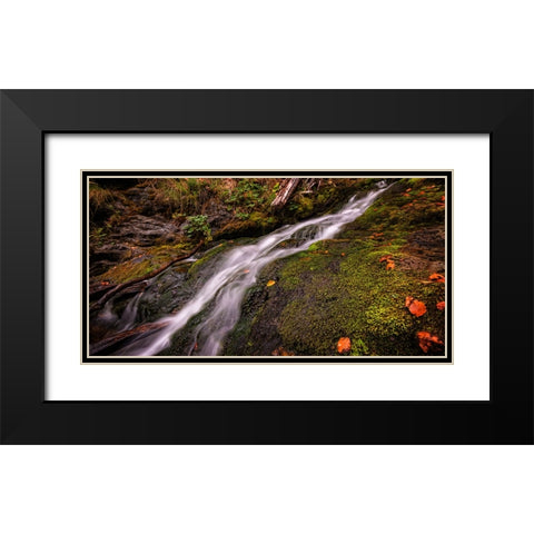 Waterfall 35 Black Modern Wood Framed Art Print with Double Matting by Lee, Rachel