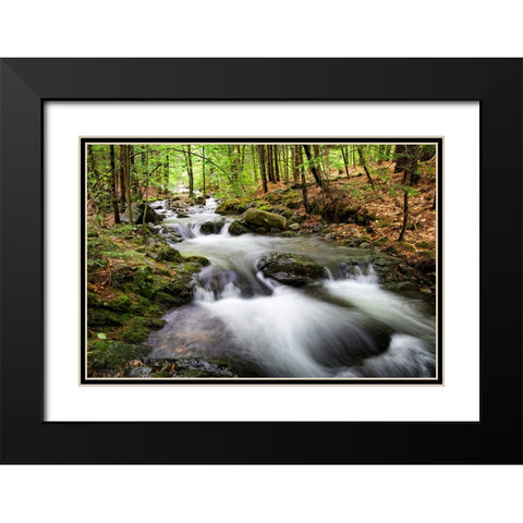 Waterfall 4 Black Modern Wood Framed Art Print with Double Matting by Lee, Rachel
