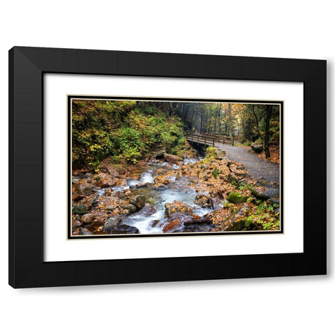 Waterfall And Walking Path Black Modern Wood Framed Art Print with Double Matting by Lee, Rachel