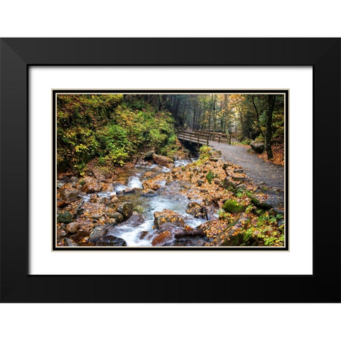 Waterfall And Walking Path Black Modern Wood Framed Art Print with Double Matting by Lee, Rachel