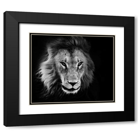 Wildlife 12 Black Modern Wood Framed Art Print with Double Matting by Lee, Rachel