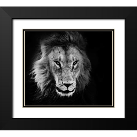 Wildlife 12 Black Modern Wood Framed Art Print with Double Matting by Lee, Rachel