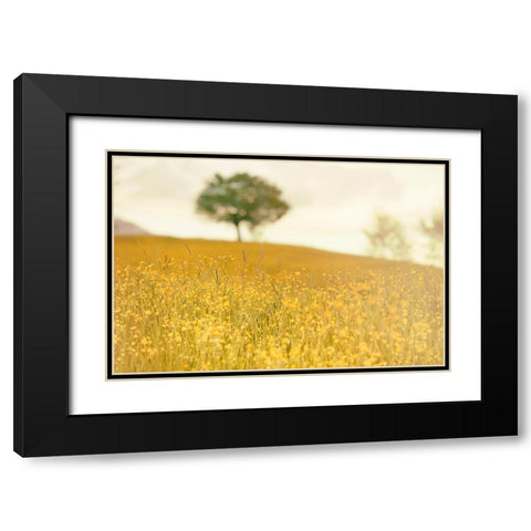 Yellow Meadow Black Modern Wood Framed Art Print with Double Matting by Lee, Rachel
