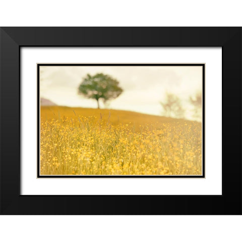 Yellow Meadow Black Modern Wood Framed Art Print with Double Matting by Lee, Rachel