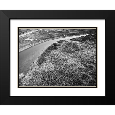 Monochrome Marsh Black Modern Wood Framed Art Print with Double Matting by Malone, Will
