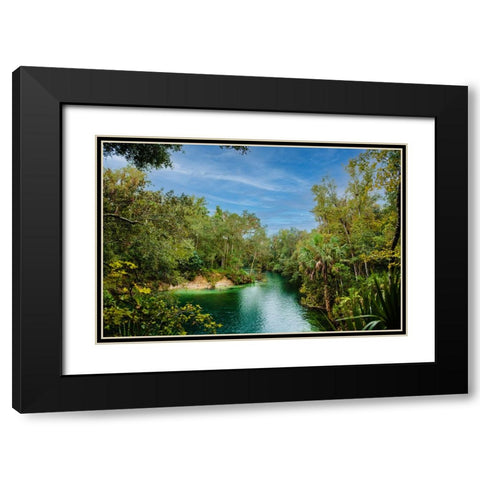 Blue Lagoon Black Modern Wood Framed Art Print with Double Matting by Malone, Will