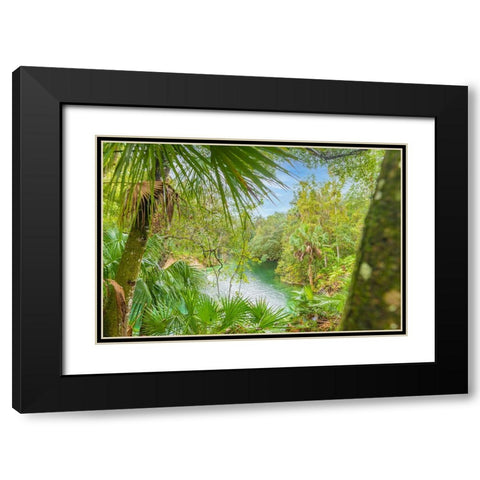 Blue Springs State Park 2 Black Modern Wood Framed Art Print with Double Matting by Malone, Will