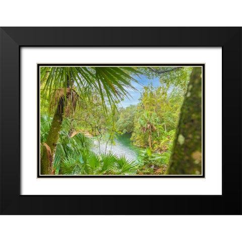 Blue Springs State Park 2 Black Modern Wood Framed Art Print with Double Matting by Malone, Will