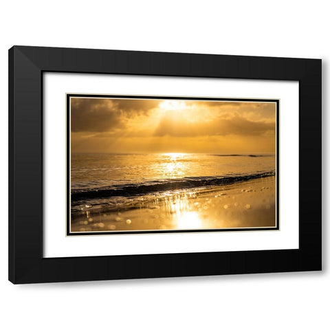 Golden Black Modern Wood Framed Art Print with Double Matting by Malone, Will