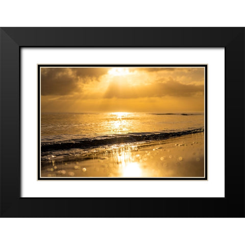 Golden Black Modern Wood Framed Art Print with Double Matting by Malone, Will