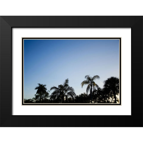 Palm Twilight Black Modern Wood Framed Art Print with Double Matting by Malone, Will
