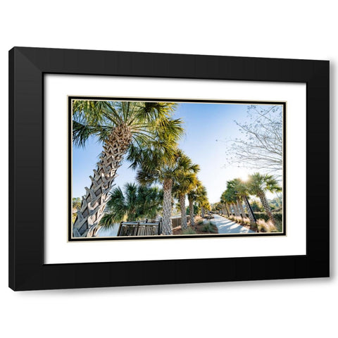 Palm Walk Black Modern Wood Framed Art Print with Double Matting by Malone, Will