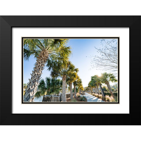 Palm Walk Black Modern Wood Framed Art Print with Double Matting by Malone, Will