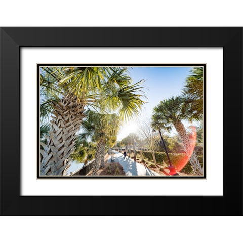 Palm Walk Sun Black Modern Wood Framed Art Print with Double Matting by Malone, Will
