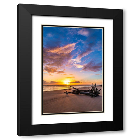 Rise Black Modern Wood Framed Art Print with Double Matting by Malone, Will