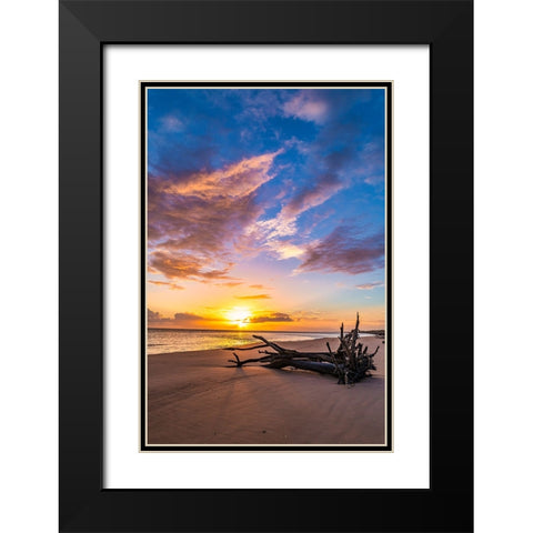 Rise Black Modern Wood Framed Art Print with Double Matting by Malone, Will