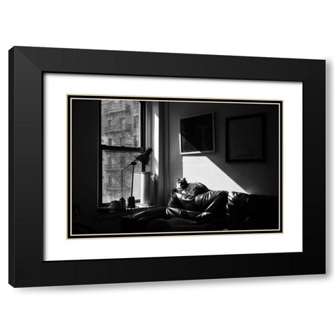 City Cat Black Modern Wood Framed Art Print with Double Matting by Malone, Will