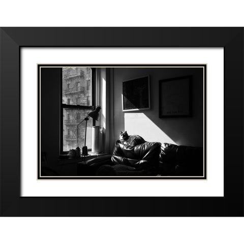 City Cat Black Modern Wood Framed Art Print with Double Matting by Malone, Will