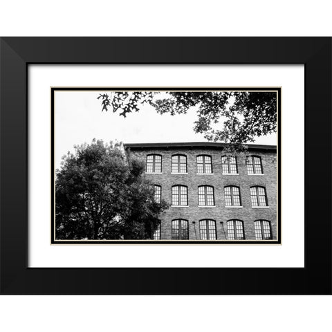 Sunny Windows BW  Black Modern Wood Framed Art Print with Double Matting by Malone, Will