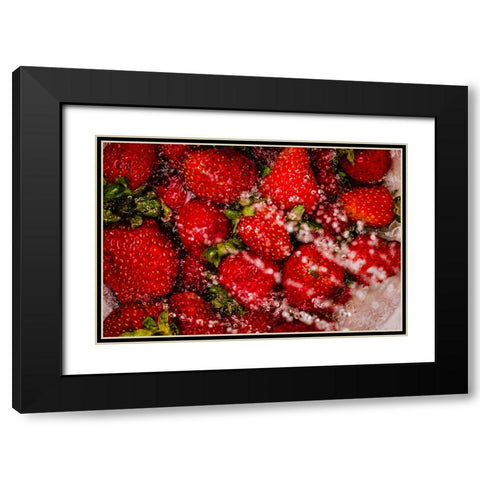 Strawberry Bath Black Modern Wood Framed Art Print with Double Matting by Malone, Will