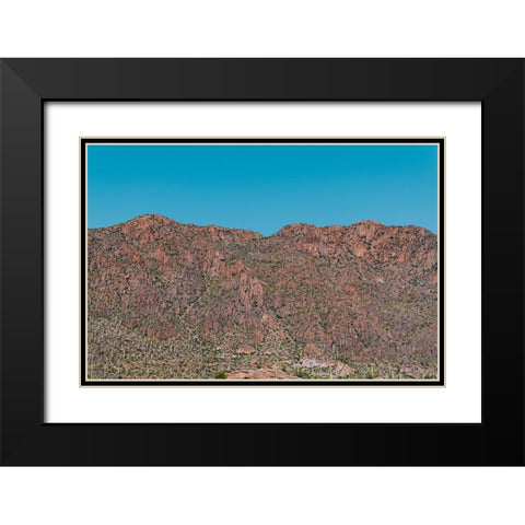 Cactus Mountain 1 Black Modern Wood Framed Art Print with Double Matting by Malone, Will