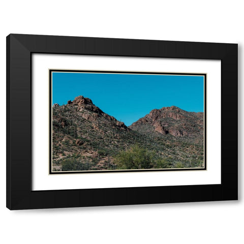 Cactus Mountain 2 Black Modern Wood Framed Art Print with Double Matting by Malone, Will