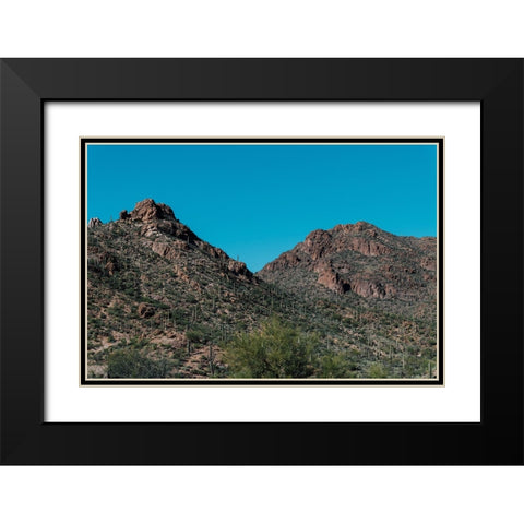 Cactus Mountain 2 Black Modern Wood Framed Art Print with Double Matting by Malone, Will