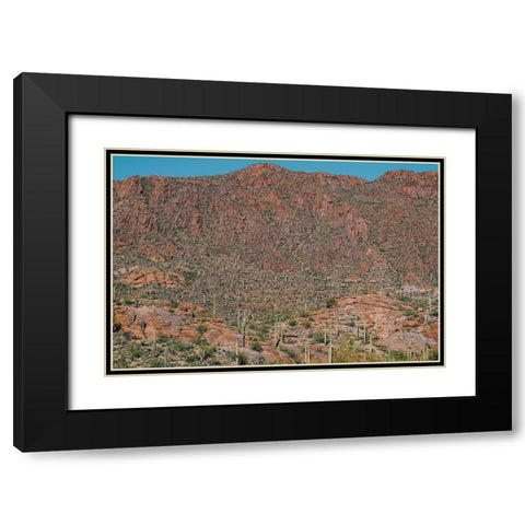 Cactus Mountain 3 Black Modern Wood Framed Art Print with Double Matting by Malone, Will