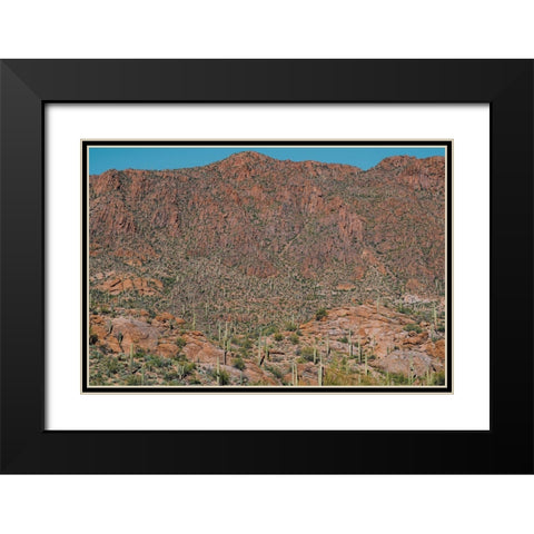 Cactus Mountain 3 Black Modern Wood Framed Art Print with Double Matting by Malone, Will
