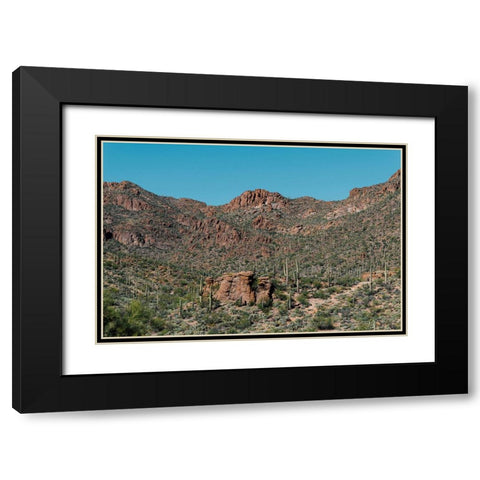 Cactus Mountain 4 Black Modern Wood Framed Art Print with Double Matting by Malone, Will