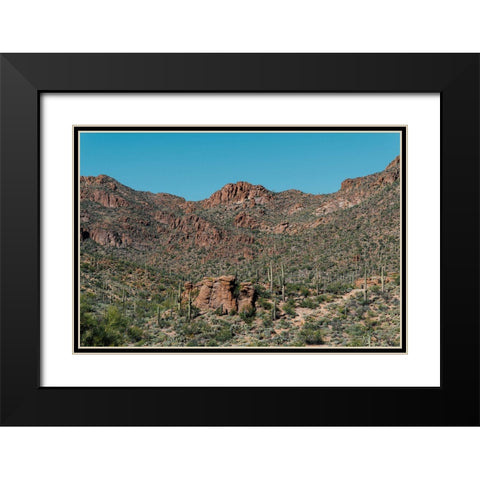 Cactus Mountain 4 Black Modern Wood Framed Art Print with Double Matting by Malone, Will
