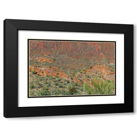 Cactus Mountain 6 Black Modern Wood Framed Art Print with Double Matting by Malone, Will