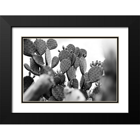 Carolina Cactus Black Modern Wood Framed Art Print with Double Matting by Malone, Will