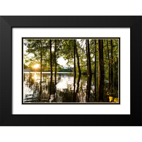 Coosa Gold Black Modern Wood Framed Art Print with Double Matting by Malone, Will