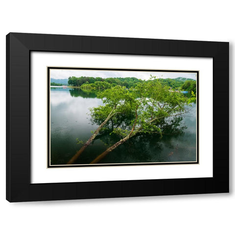 Fallen Black Modern Wood Framed Art Print with Double Matting by Malone, Will