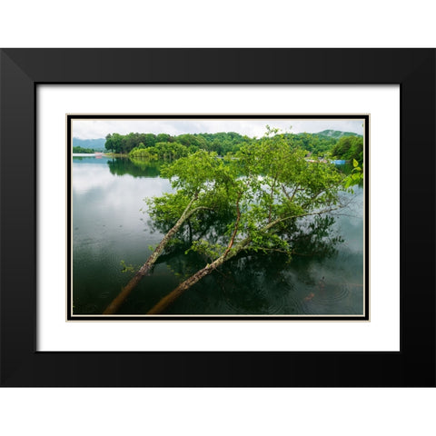 Fallen Black Modern Wood Framed Art Print with Double Matting by Malone, Will
