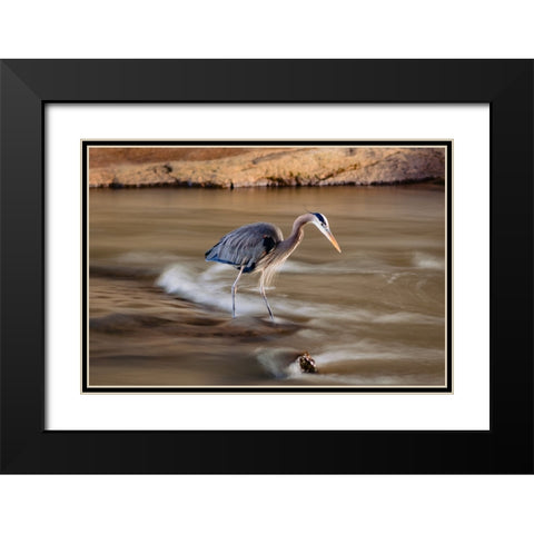 The Bird Black Modern Wood Framed Art Print with Double Matting by Malone, Will