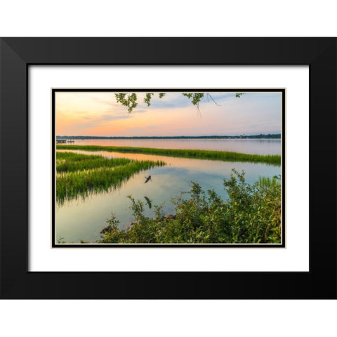 Morning Marsh Black Modern Wood Framed Art Print with Double Matting by Malone, Will