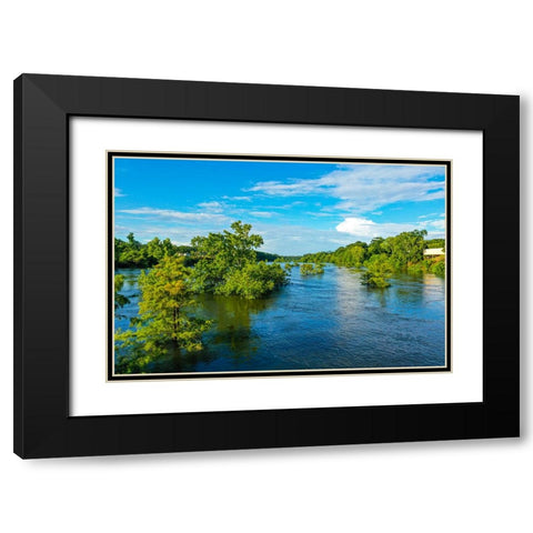 Blooming on the Coosa 3 Black Modern Wood Framed Art Print with Double Matting by Malone, Will