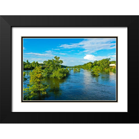 Blooming on the Coosa 3 Black Modern Wood Framed Art Print with Double Matting by Malone, Will
