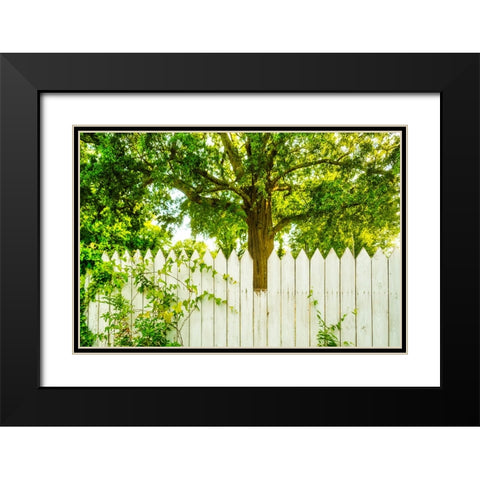 White Pickett Fence 2 Black Modern Wood Framed Art Print with Double Matting by Malone, Will